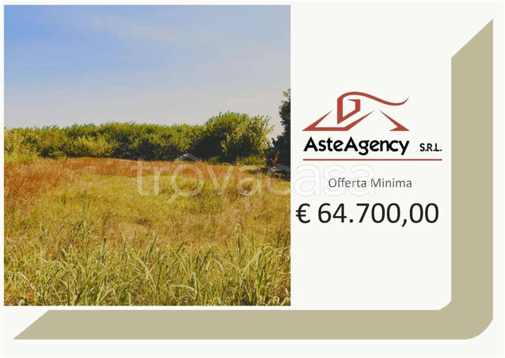 terreno agricolo in vendita a Campolongo Maggiore