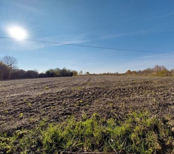 terreno agricolo in vendita a Campolongo Maggiore
