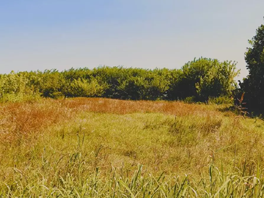 mansarda in vendita a Campolongo Maggiore