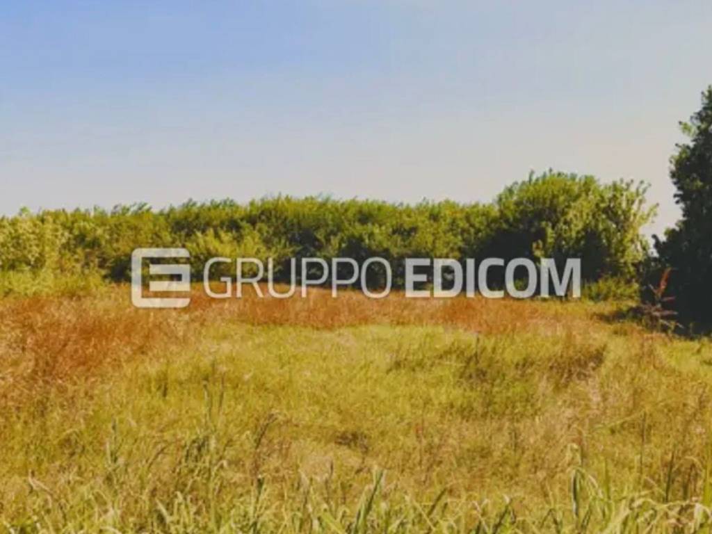 terreno agricolo in vendita a Campolongo Maggiore