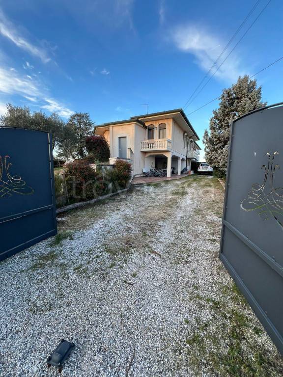 casa indipendente in vendita a Campolongo Maggiore