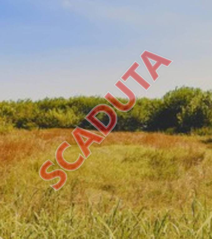 terreno edificabile in vendita a Campolongo Maggiore