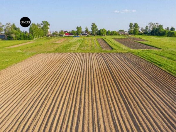 terreno agricolo in vendita a Campolongo Maggiore in zona Bojon