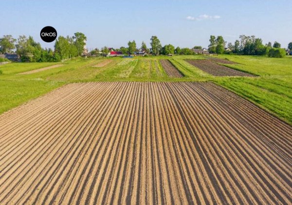 terreno agricolo in vendita a Campolongo Maggiore in zona Bojon