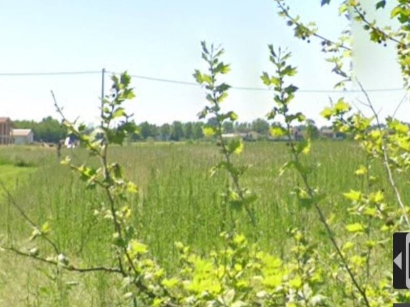 terreno agricolo in vendita a Campolongo Maggiore