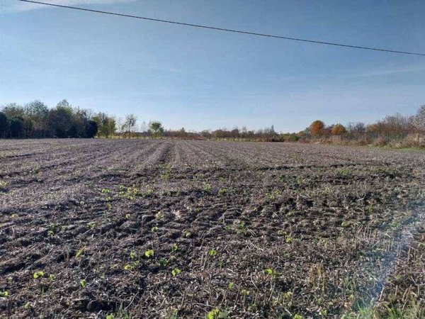 terreno in vendita a Campolongo Maggiore