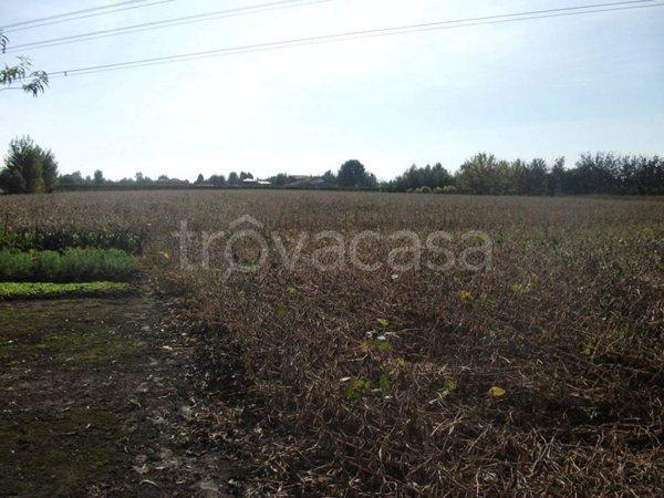 terreno agricolo in vendita a Camponogara