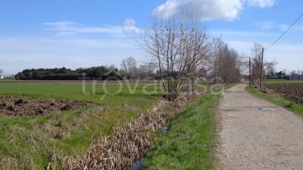 terreno agricolo in vendita a Camponogara