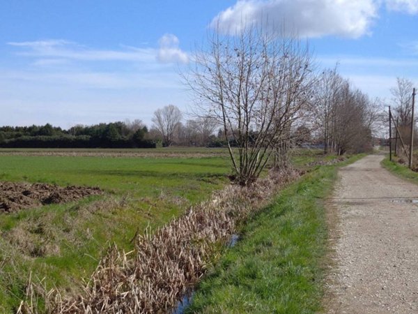 terreno agricolo in vendita a Camponogara