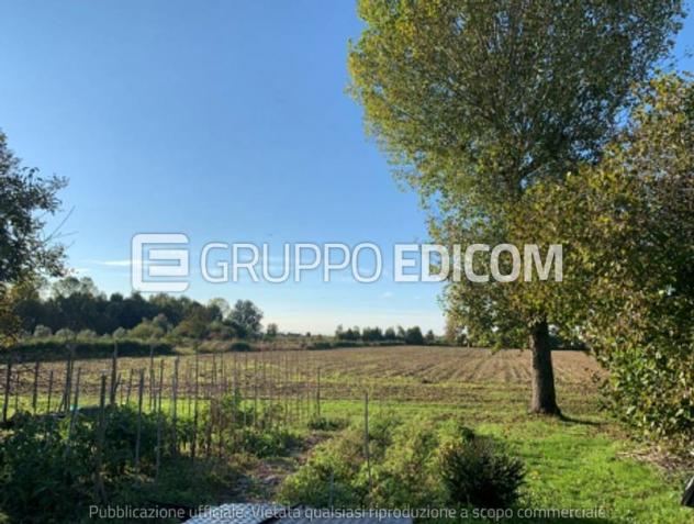 appartamento in vendita a Camponogara