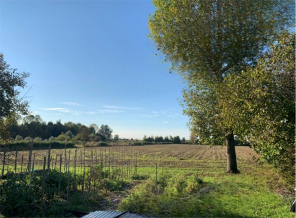 terreno agricolo in vendita a Camponogara
