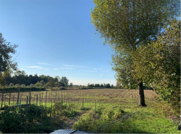 terreno agricolo in vendita a Camponogara