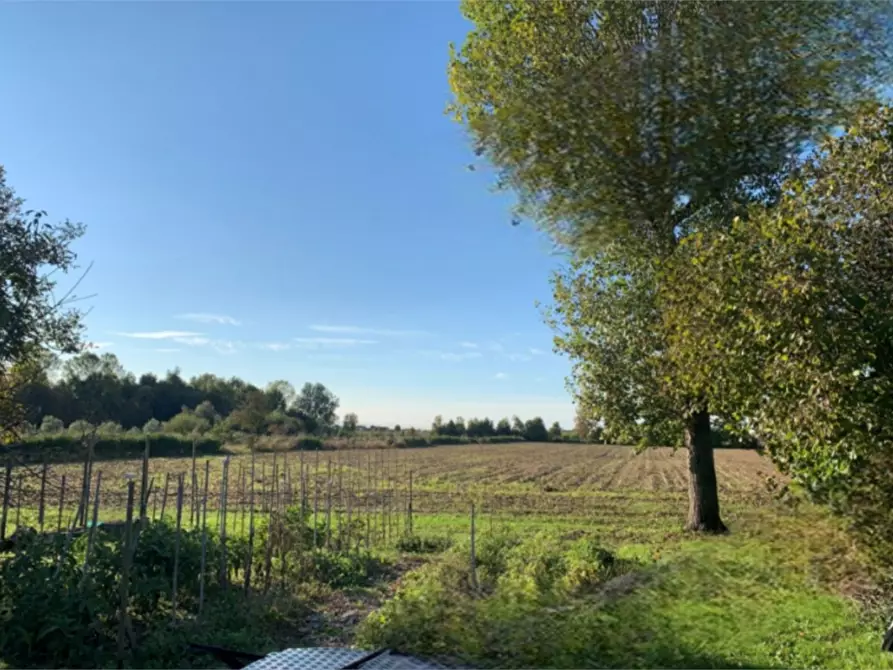 terreno agricolo in vendita a Camponogara