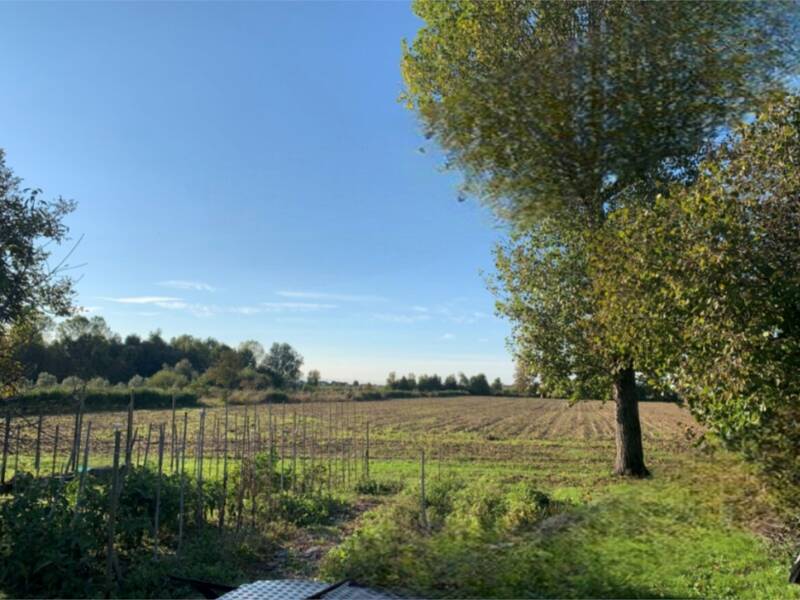 terreno agricolo in vendita a Camponogara
