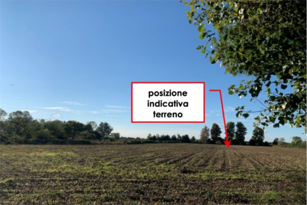 terreno agricolo in vendita a Camponogara