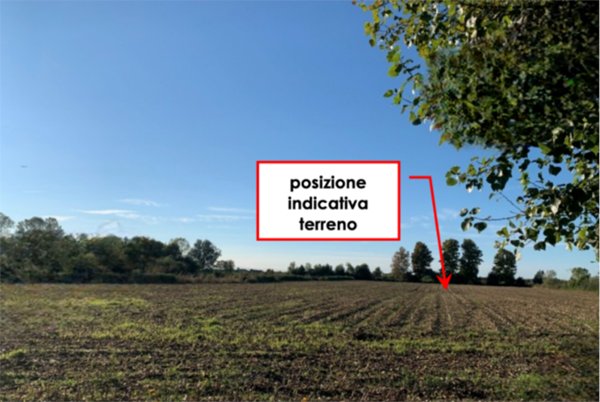 terreno agricolo in vendita a Camponogara