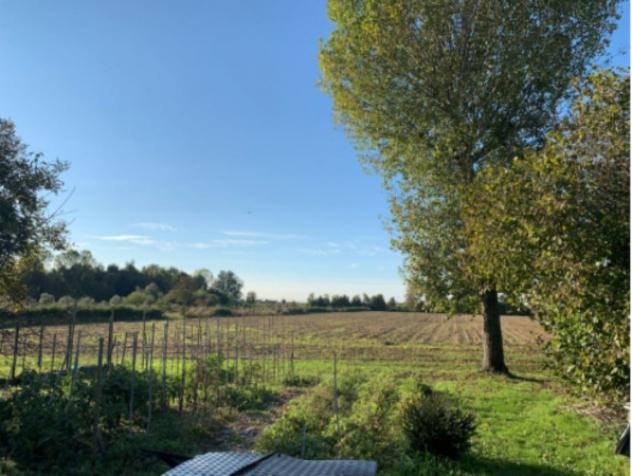 terreno agricolo in vendita a Camponogara