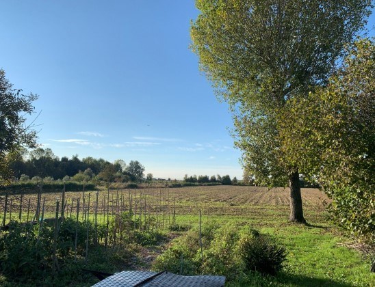 terreno agricolo in vendita a Camponogara
