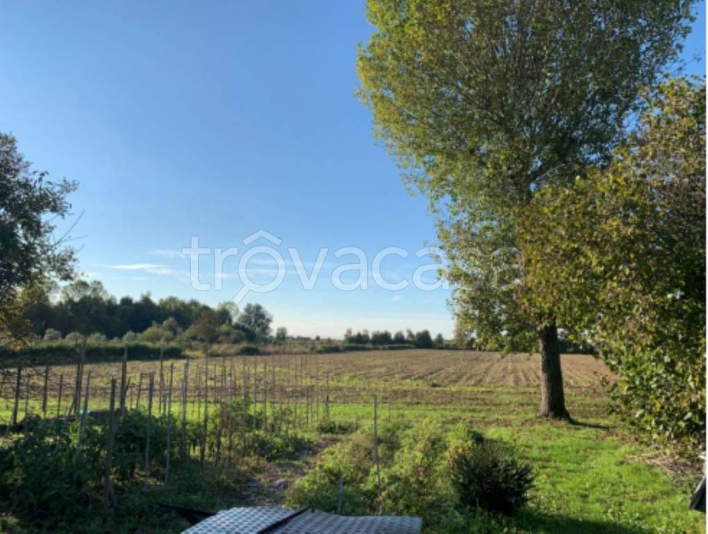 terreno agricolo in vendita a Camponogara