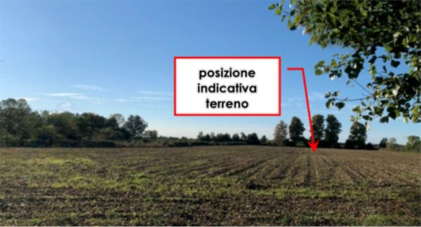 terreno agricolo in vendita a Camponogara
