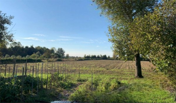 terreno agricolo in vendita a Camponogara