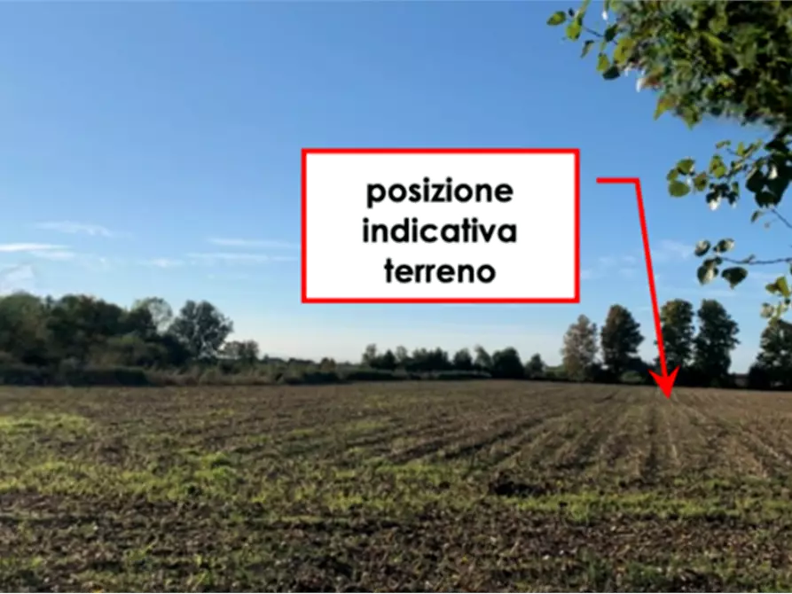 terreno agricolo in vendita a Camponogara