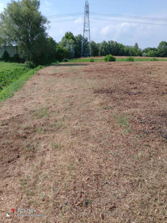 casa indipendente in vendita a Camponogara in zona Prozzolo