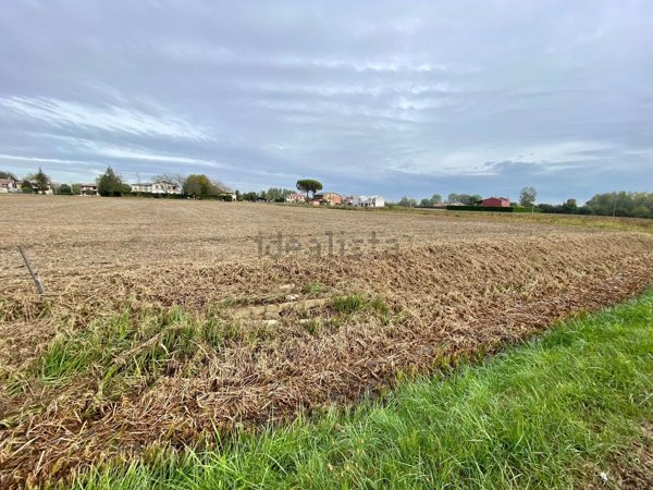 casa indipendente in vendita a Camponogara in zona Prozzolo