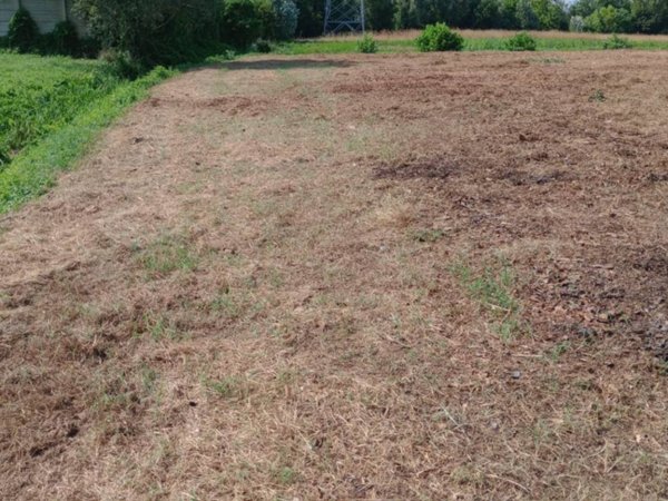 casa indipendente in vendita a Camponogara in zona Prozzolo