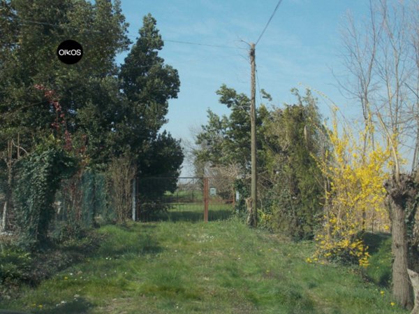 casa indipendente in vendita a Camponogara in zona Prozzolo