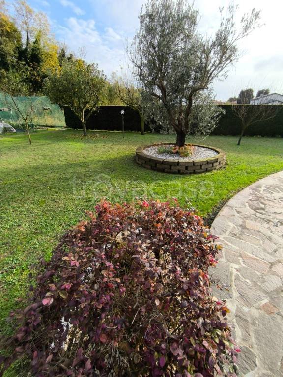 casa indipendente in vendita a Camponogara