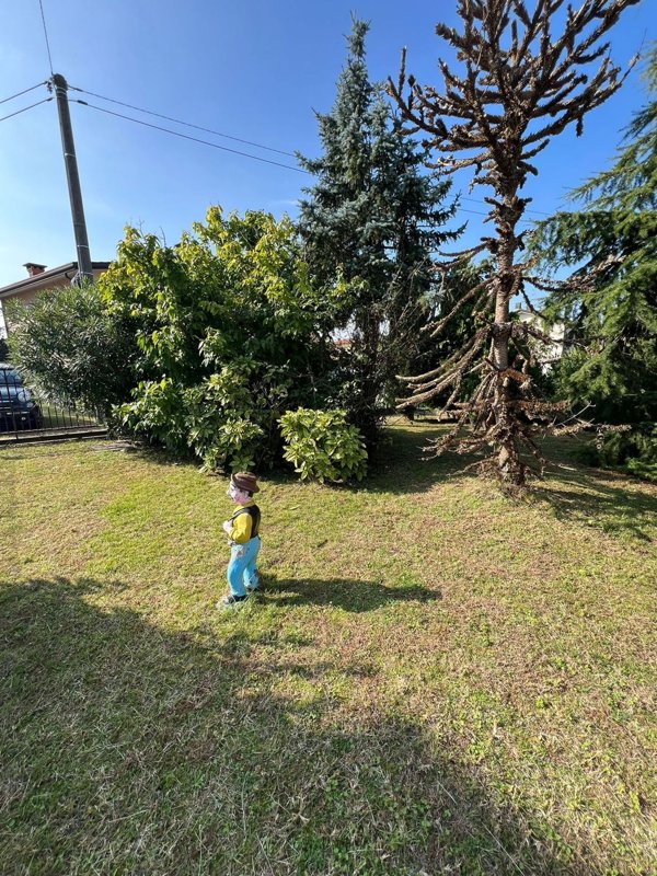 casa indipendente in vendita a Camponogara