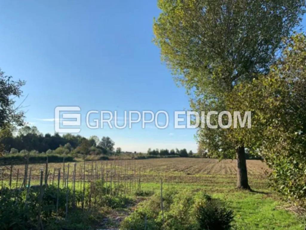 terreno agricolo in vendita a Camponogara