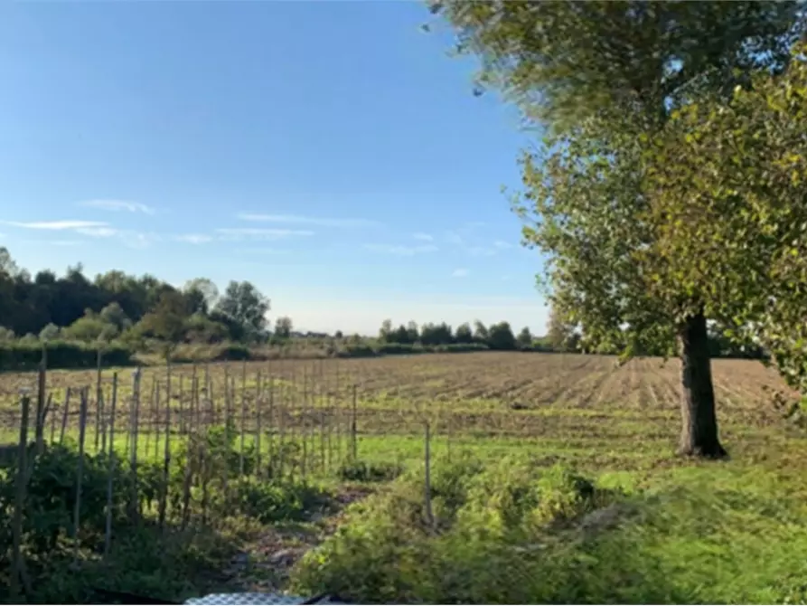 terreno agricolo in vendita a Camponogara