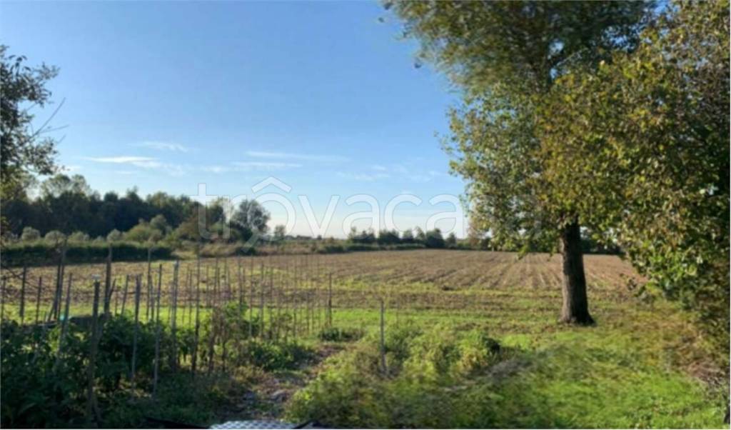 monolocale in vendita a Camponogara