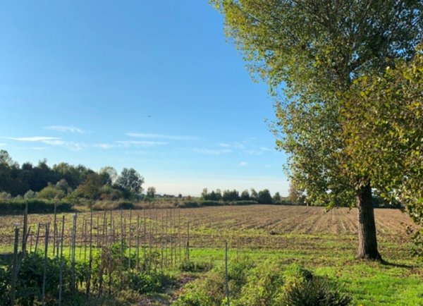 terreno agricolo in vendita a Camponogara