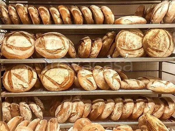 negozio in vendita a Camponogara in zona Premaore