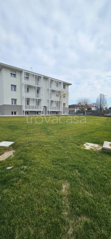 appartamento in vendita a Camponogara