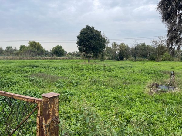 casa indipendente in vendita a Camponogara in zona Prozzolo