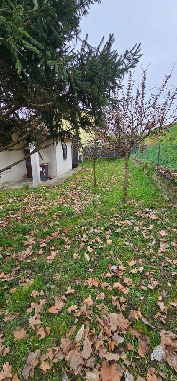 casa indipendente in vendita a Camponogara