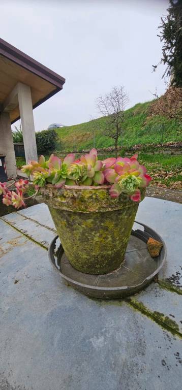 casa indipendente in vendita a Camponogara