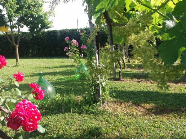 casa indipendente in vendita a Camponogara in zona Prozzolo