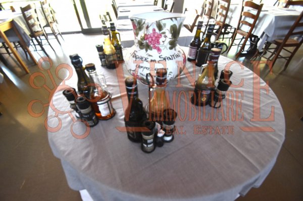 appartamento in vendita a Camponogara