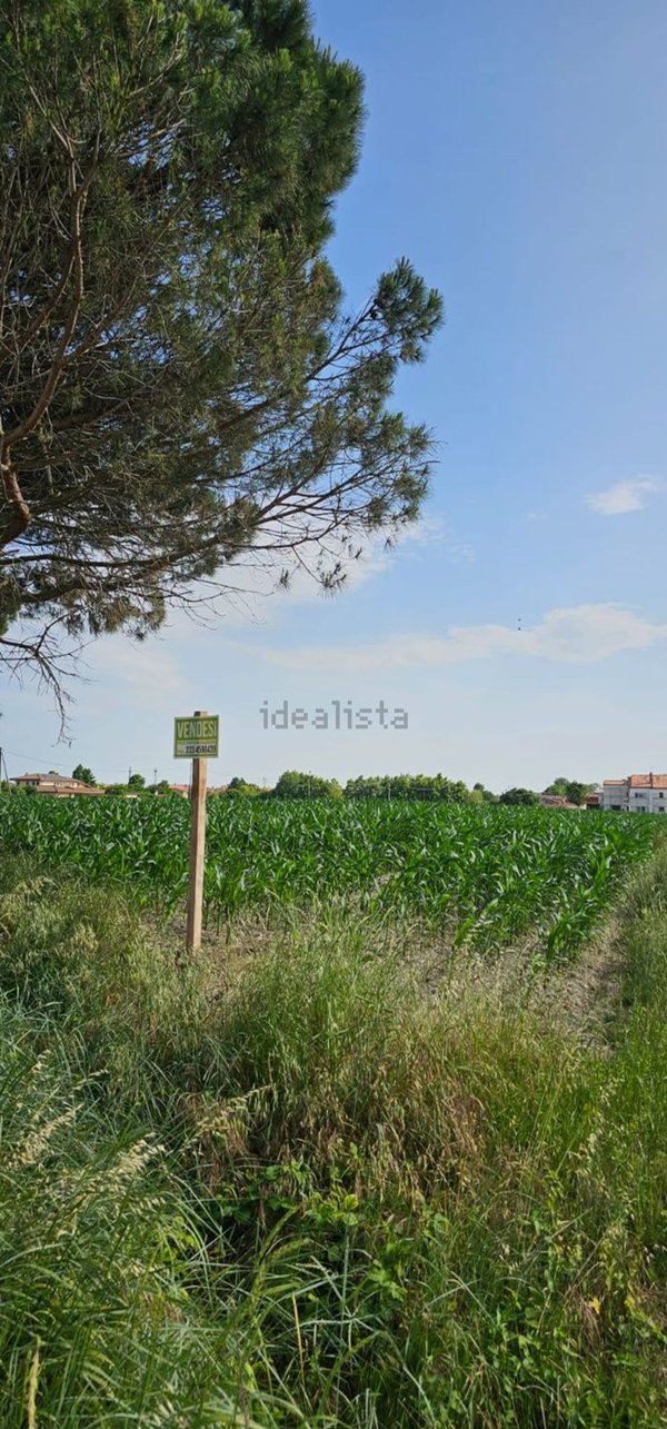 terreno agricolo in vendita a Camponogara in zona Campoverardo