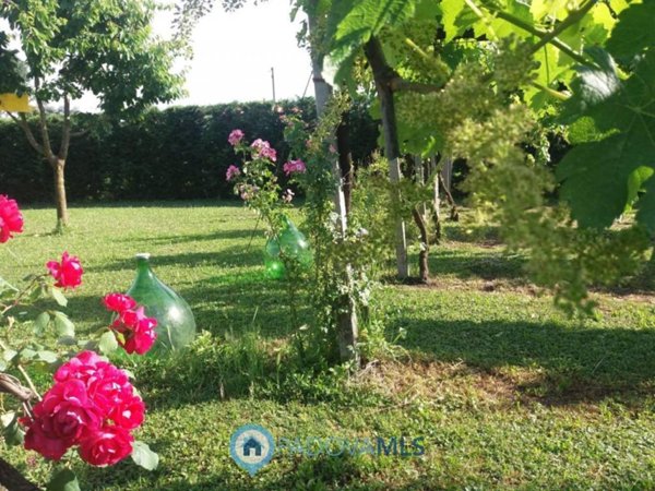 terreno edificabile in vendita a Camponogara in zona Prozzolo