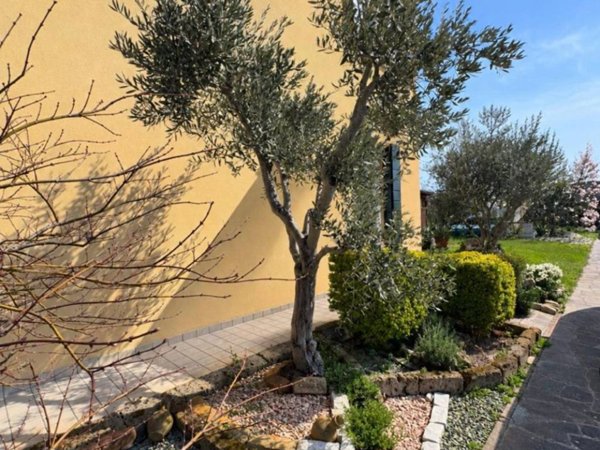 casa indipendente in vendita a Camponogara