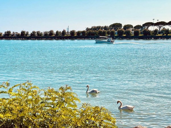 appartamento in vendita a Caorle