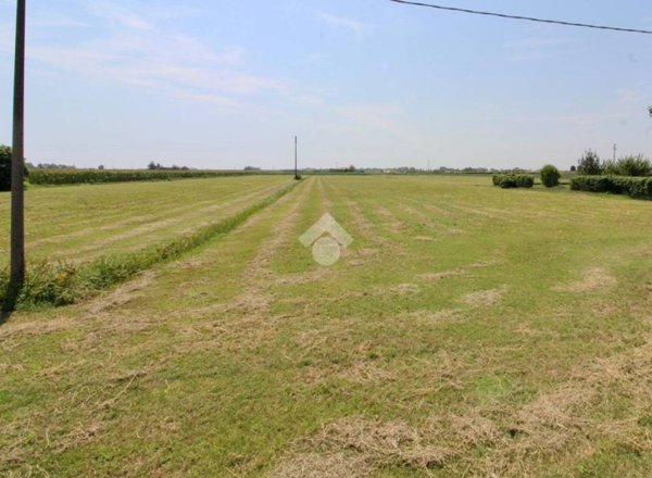 azienda agricola in vendita a Caorle