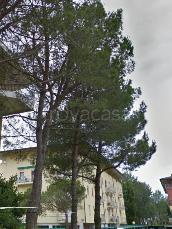 appartamento in vendita a Caorle in zona Duna Verde