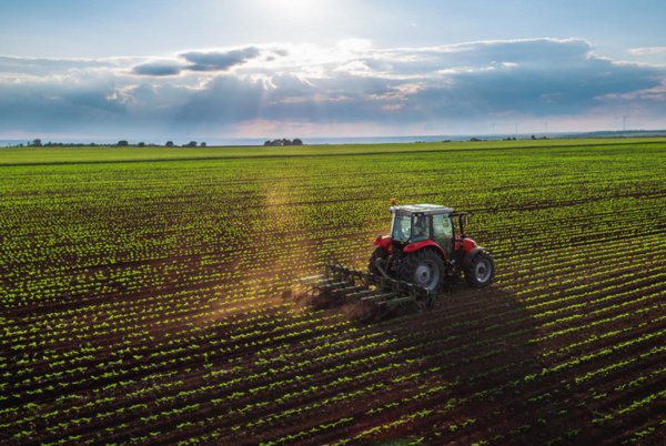 terreno agricolo in vendita a Cavarzere